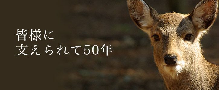 ���ͤ˻٤�����50ǯ